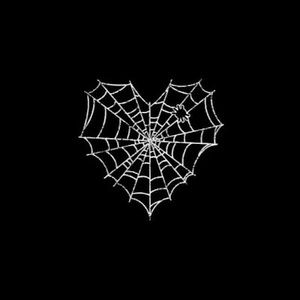 Meet your Posher, Bo